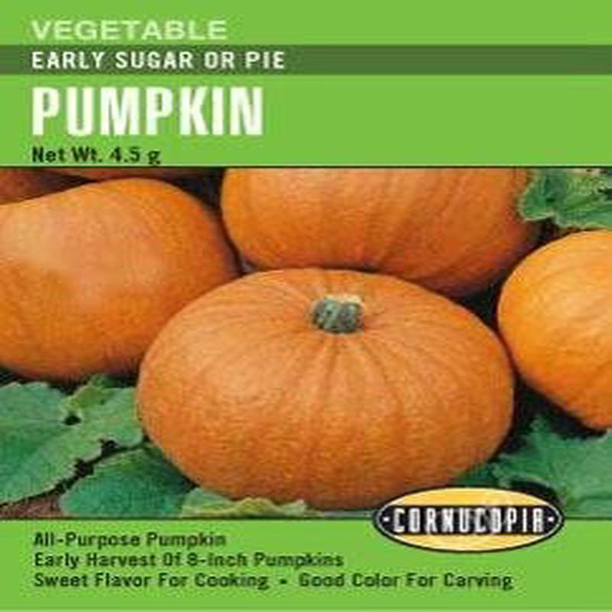 Pumpkin Early Sugar or Pie 8211 Cornucopia Seeds