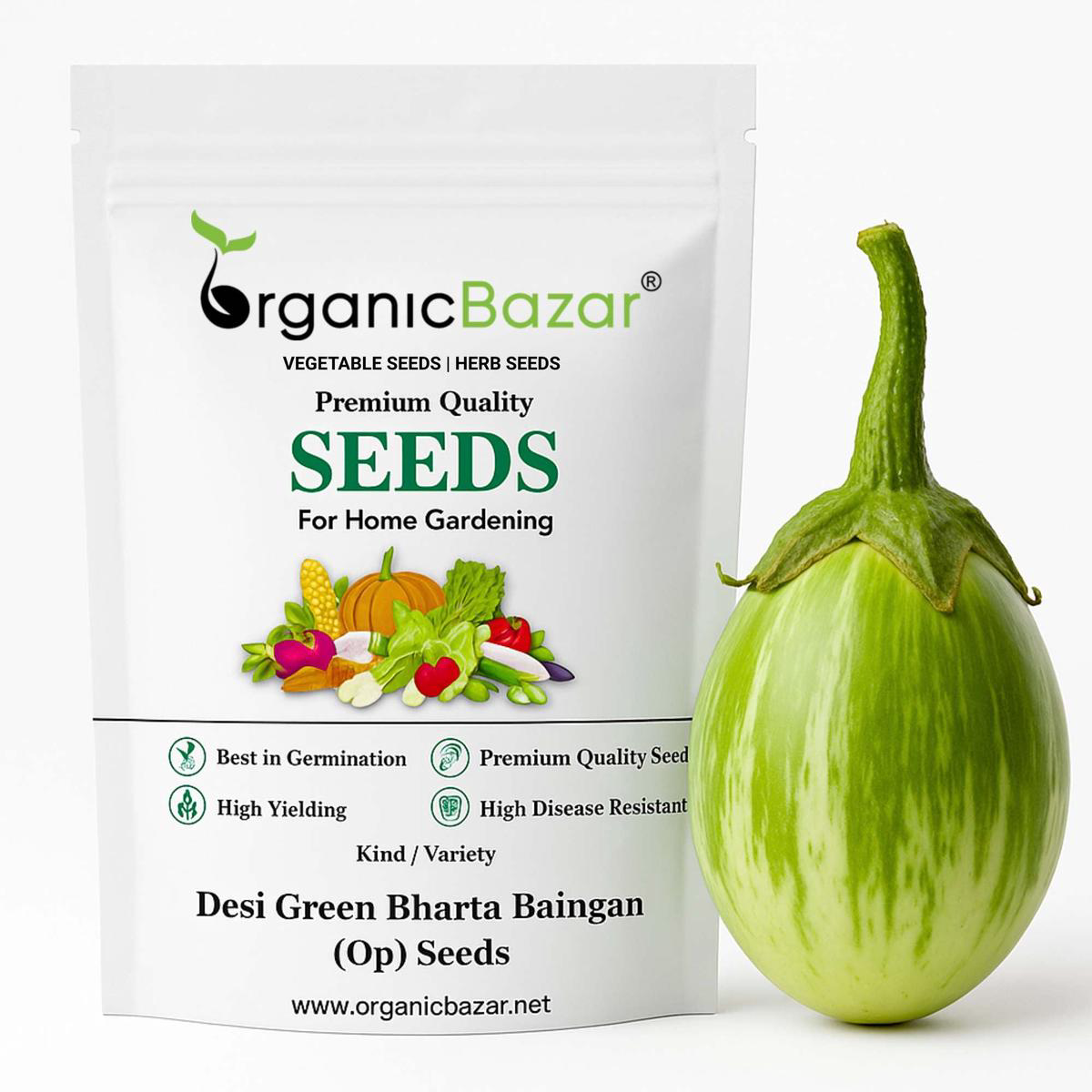 Desi Green Bharta Baingan Seeds 8211 High Germination High Yield Ideal for TerraceKitchen Gardening
