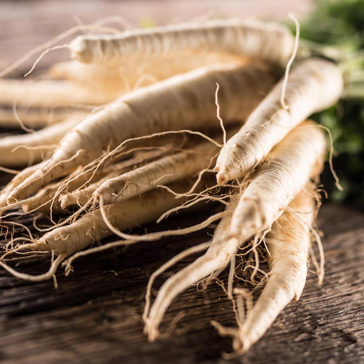 Harris Model Parsnip (Pastinaca sativa)