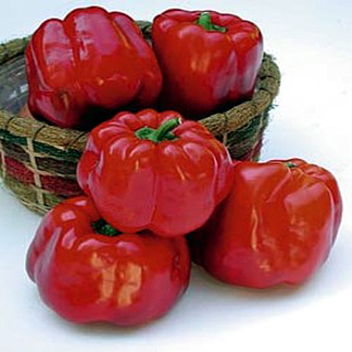 North Star Sweet Pepper - 10 Seeds - Green to Red