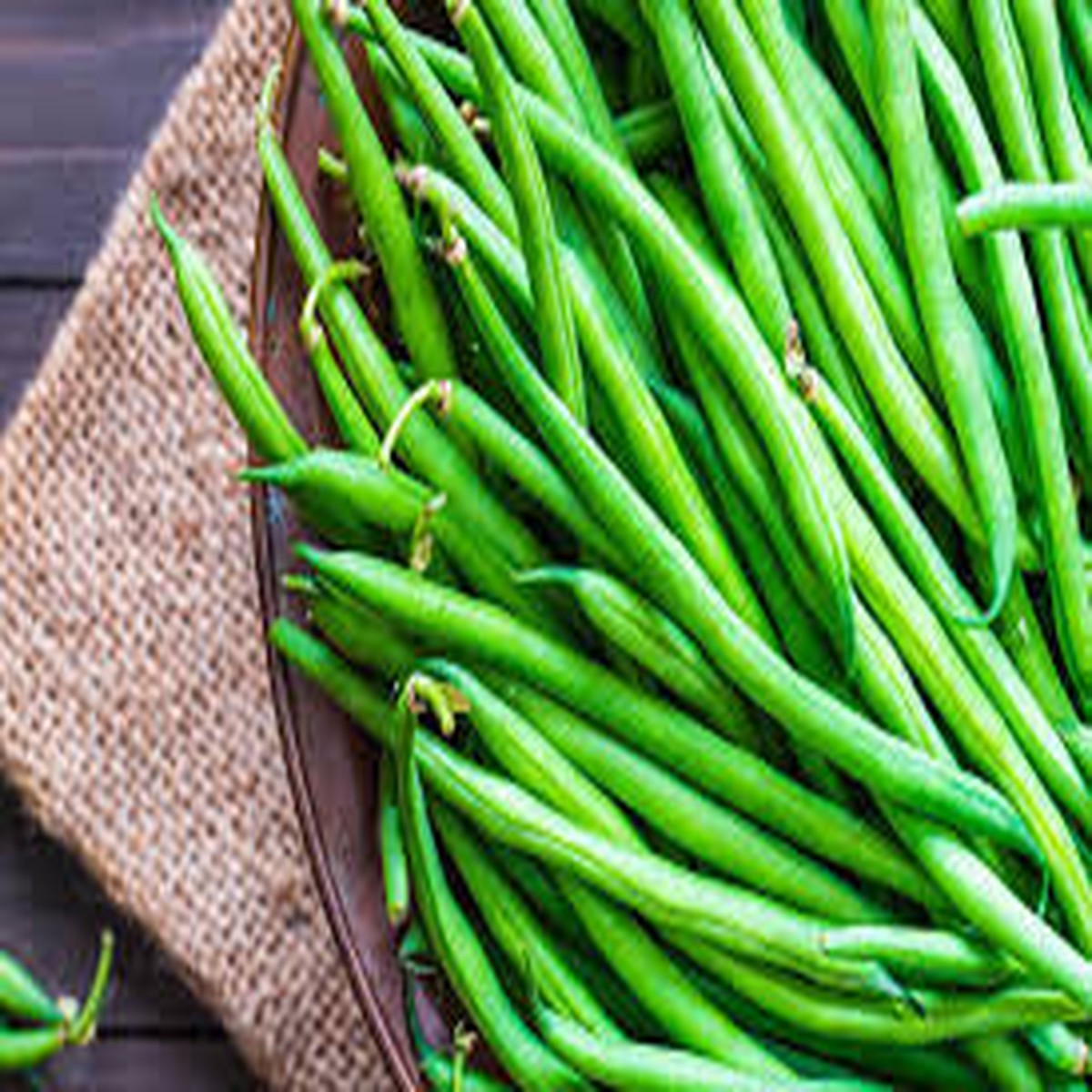 20 Seeds Provider Green Bush Bean - Phaseolus vulgaris | Heirloom Bean for Planting, Home Gardening & Fresh Vegetable Harvest