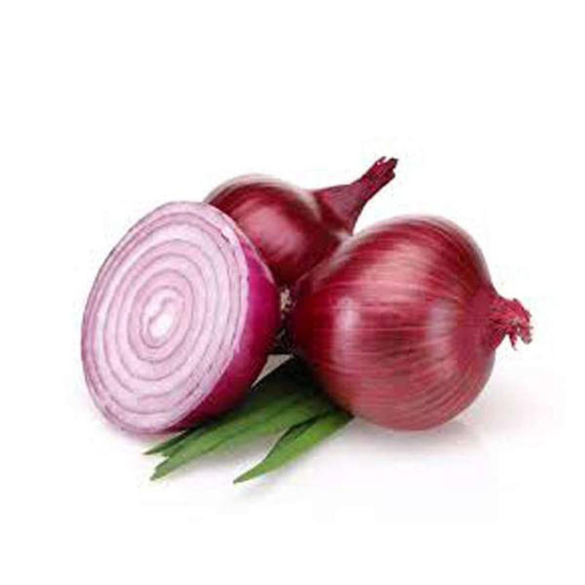 Onion NP 53 8211 Desi Vegetable Seeds