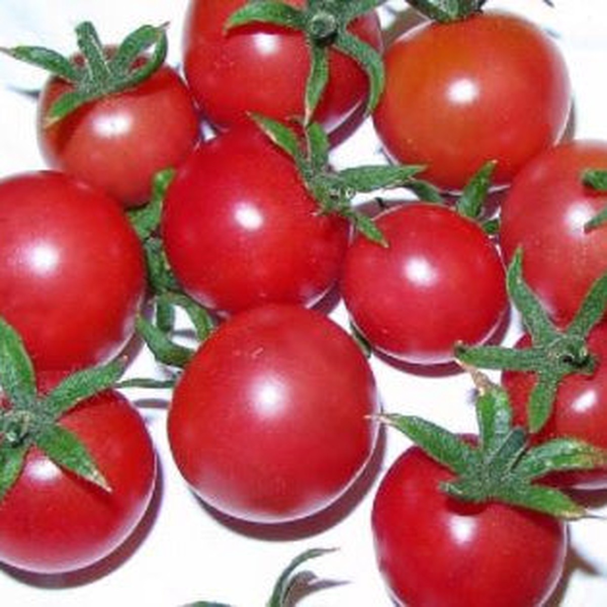 Organic 'Napa Rose' Tomato