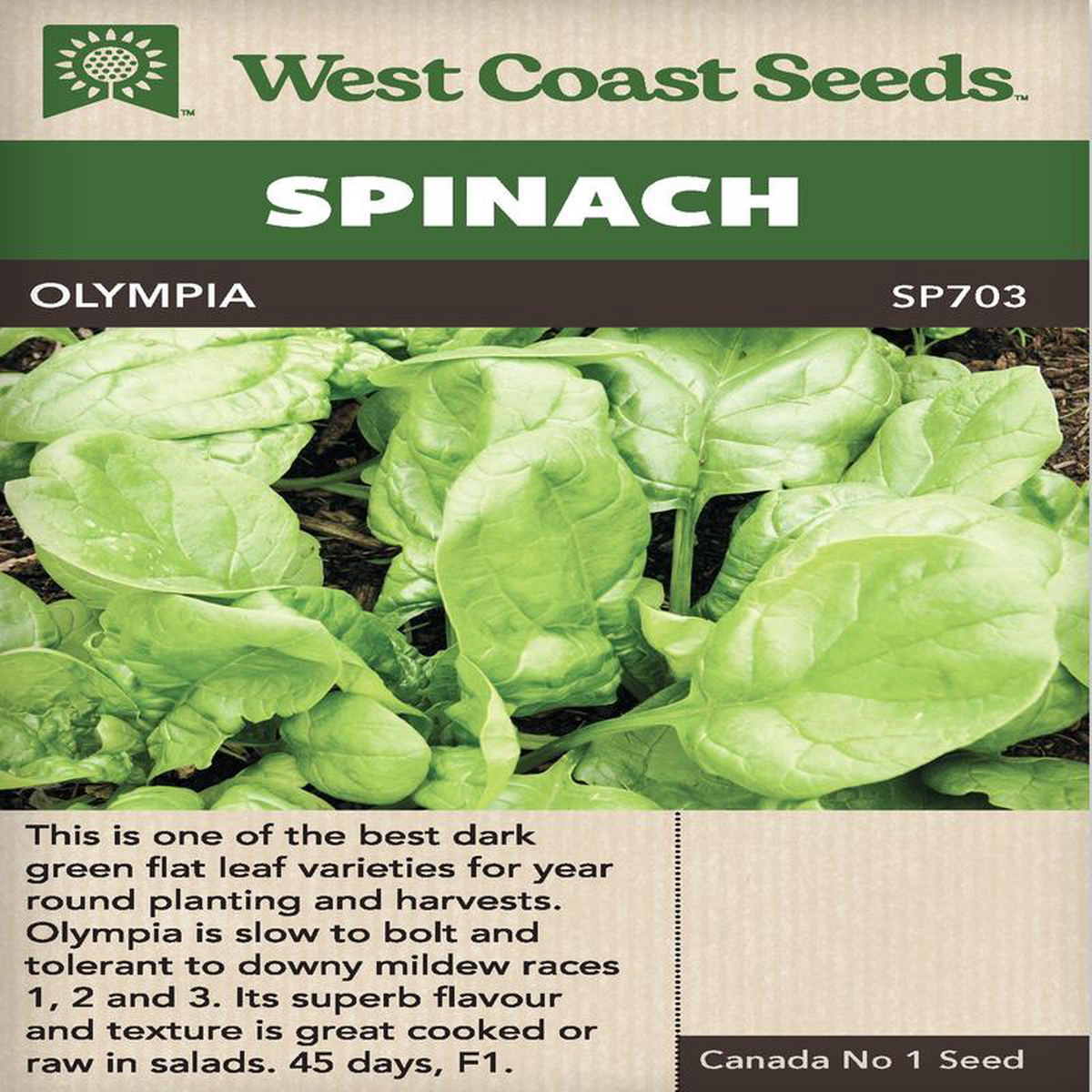 Spinach Olympia 8211 West Coast Seeds