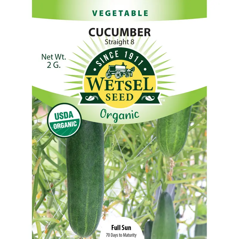 Wetsel Seed Organic Straight 8 Cucumber Seed