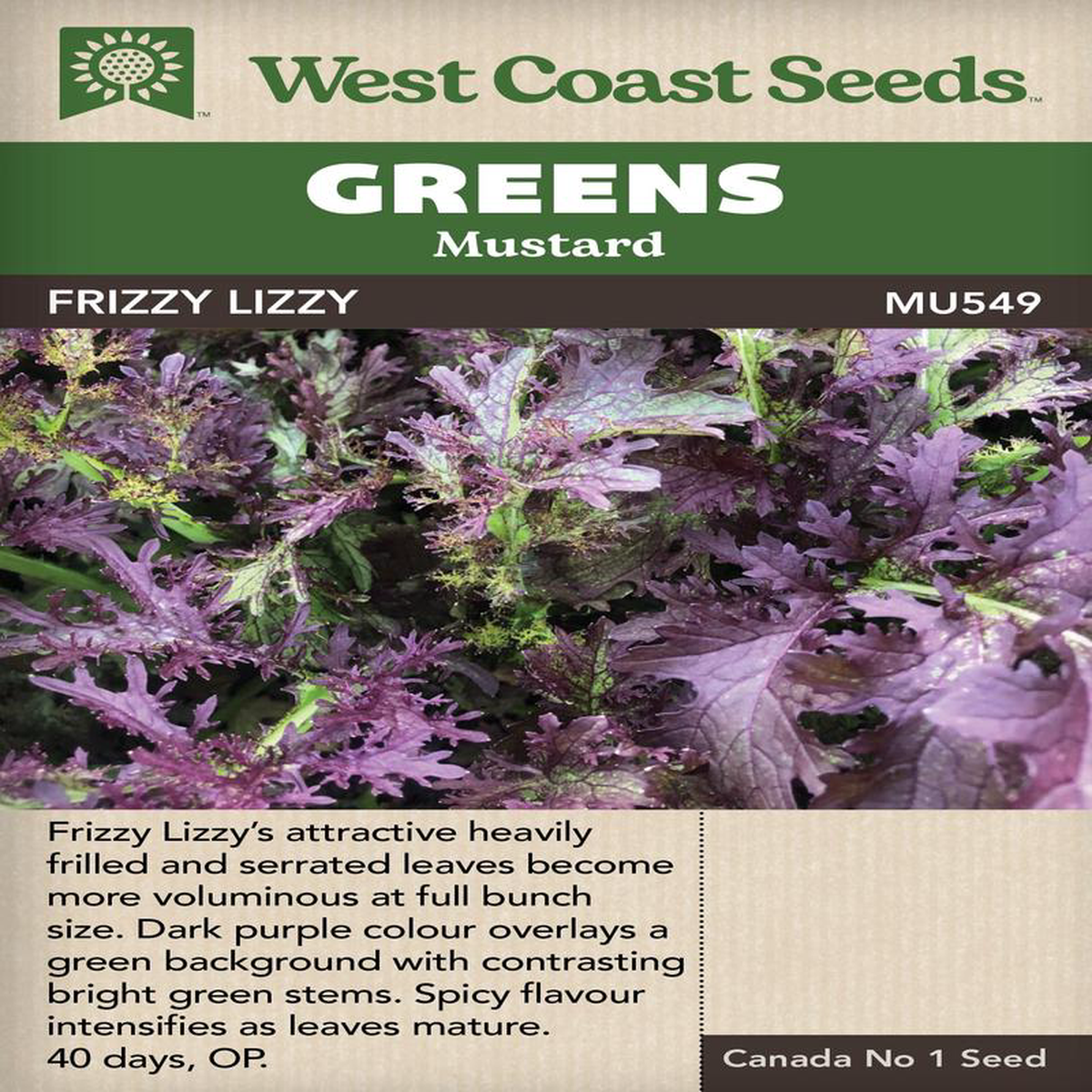Mustard Greens Frizzy Lizzy 8211 West Coast Seeds