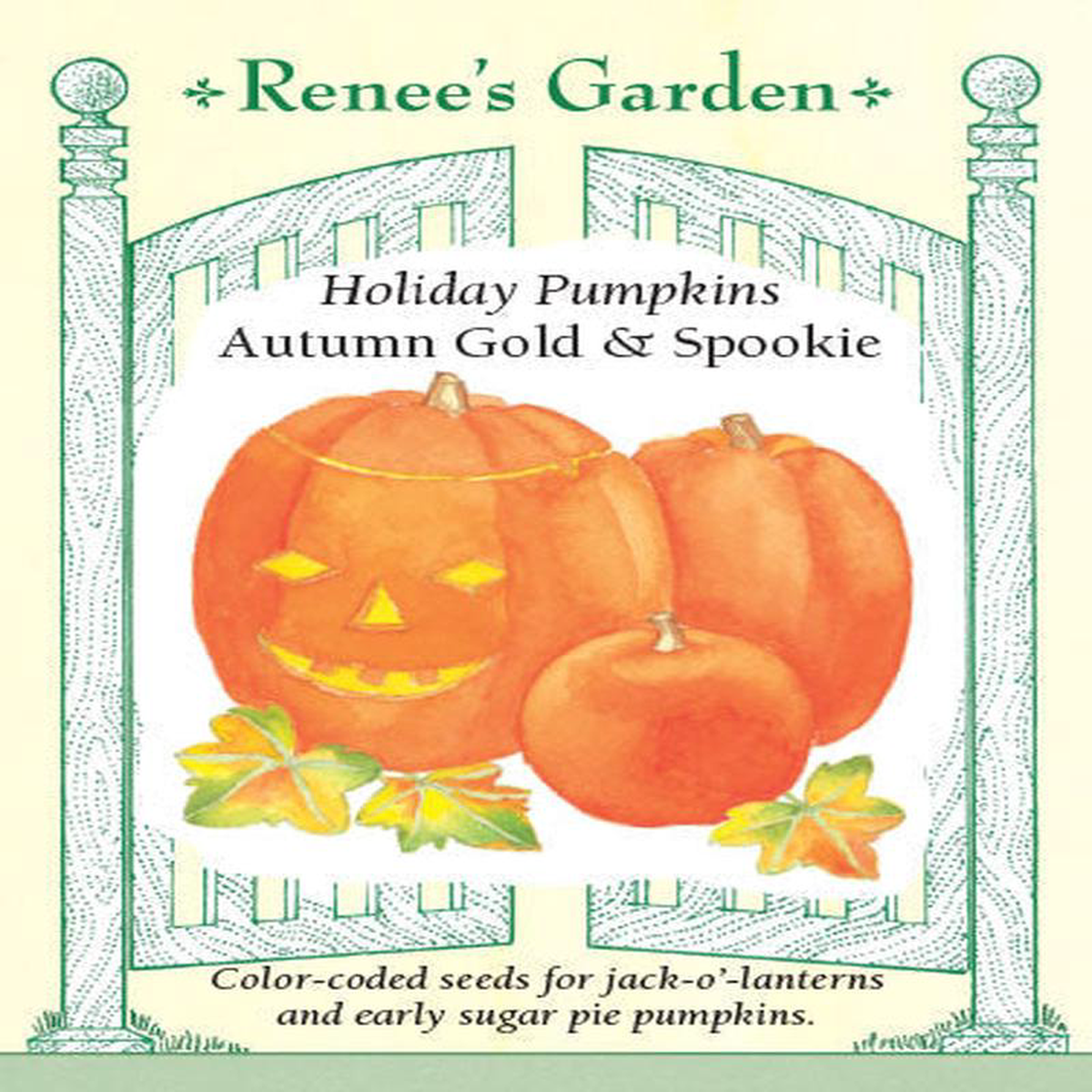 Pumpkins Autumn Gold 038 Spookie 8211 Renee8217s Garden