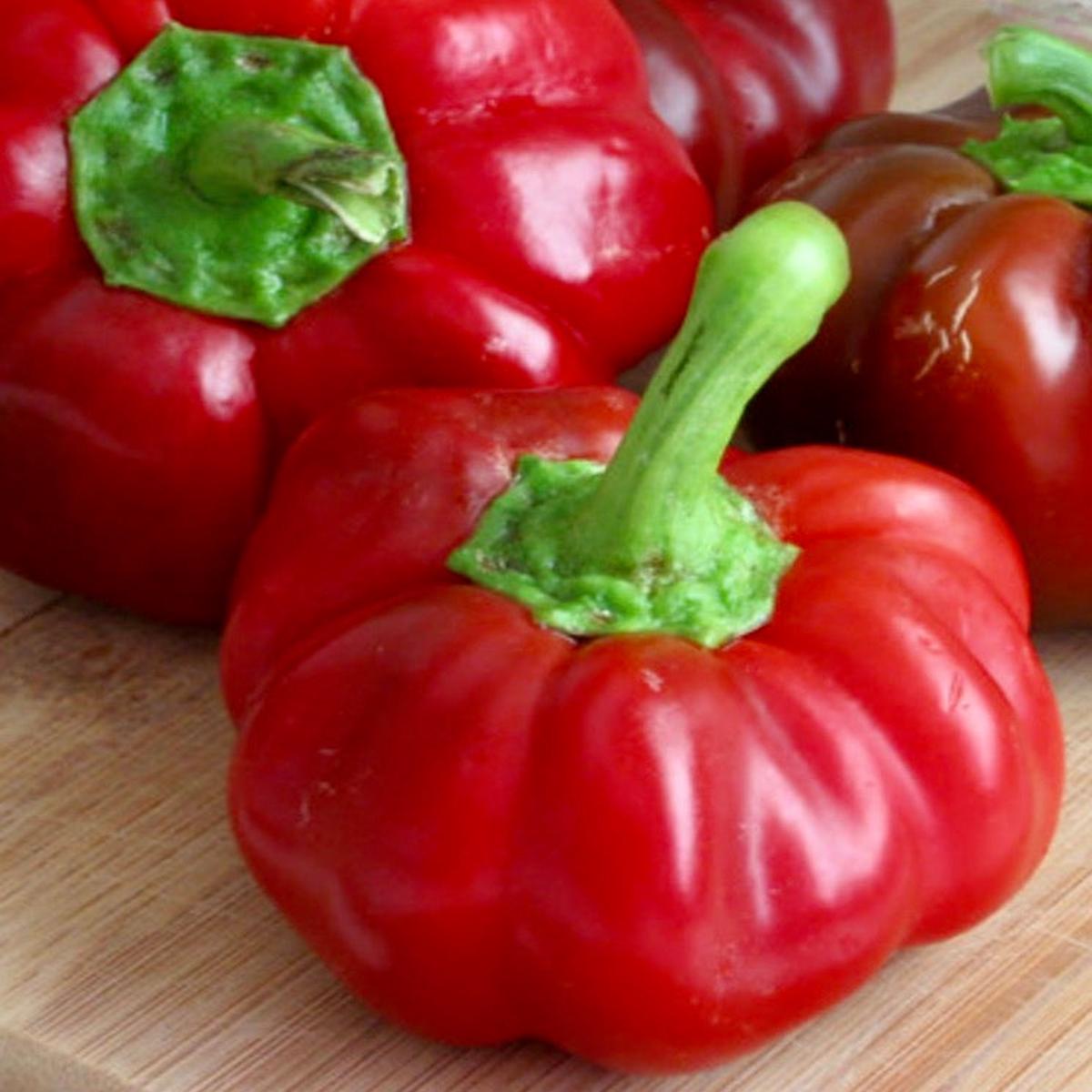 Capsicum annuum var. grossum 'Topepo Rosso' SEEDS