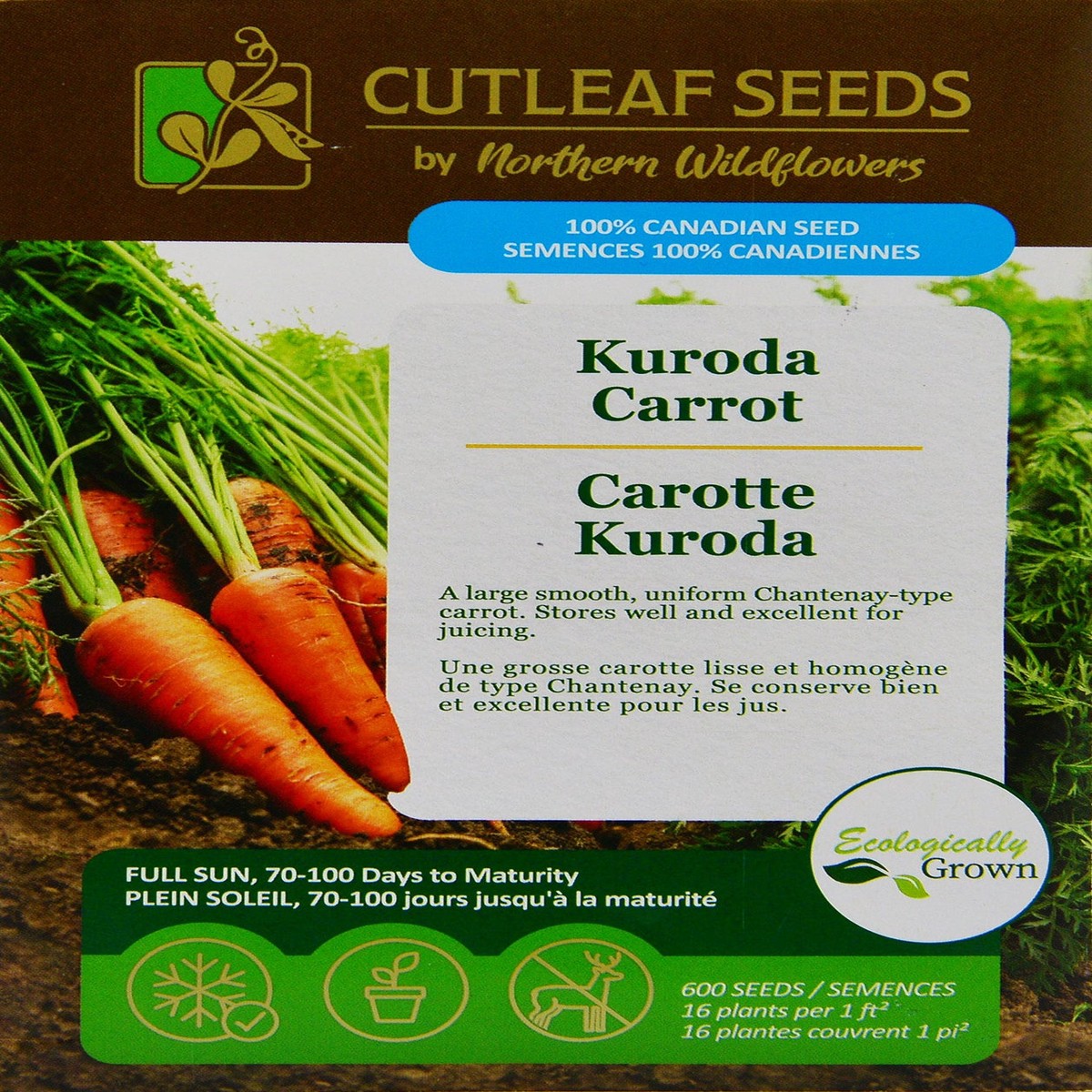 Carrot Kuroda - Northern Wildflowers