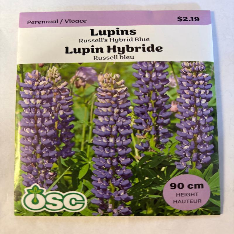 Lupins Seed Packets - Russell's Hybrids Blue
