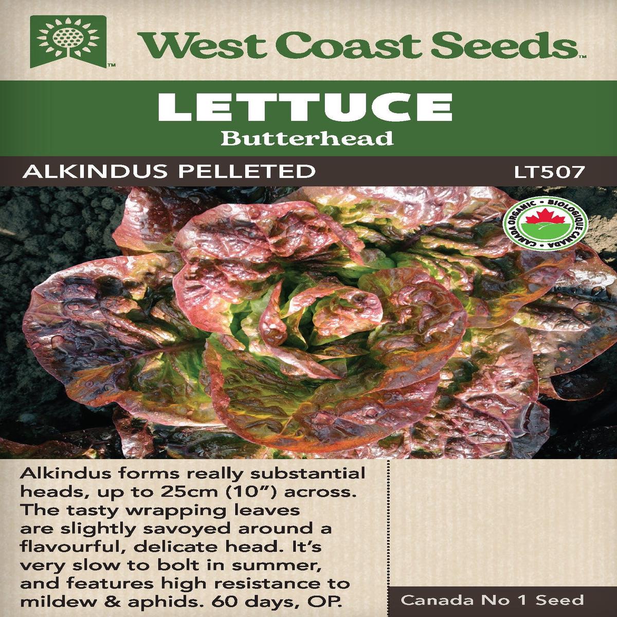 Organic Lettuce Alkindus Pelleted - West Coast Seeds