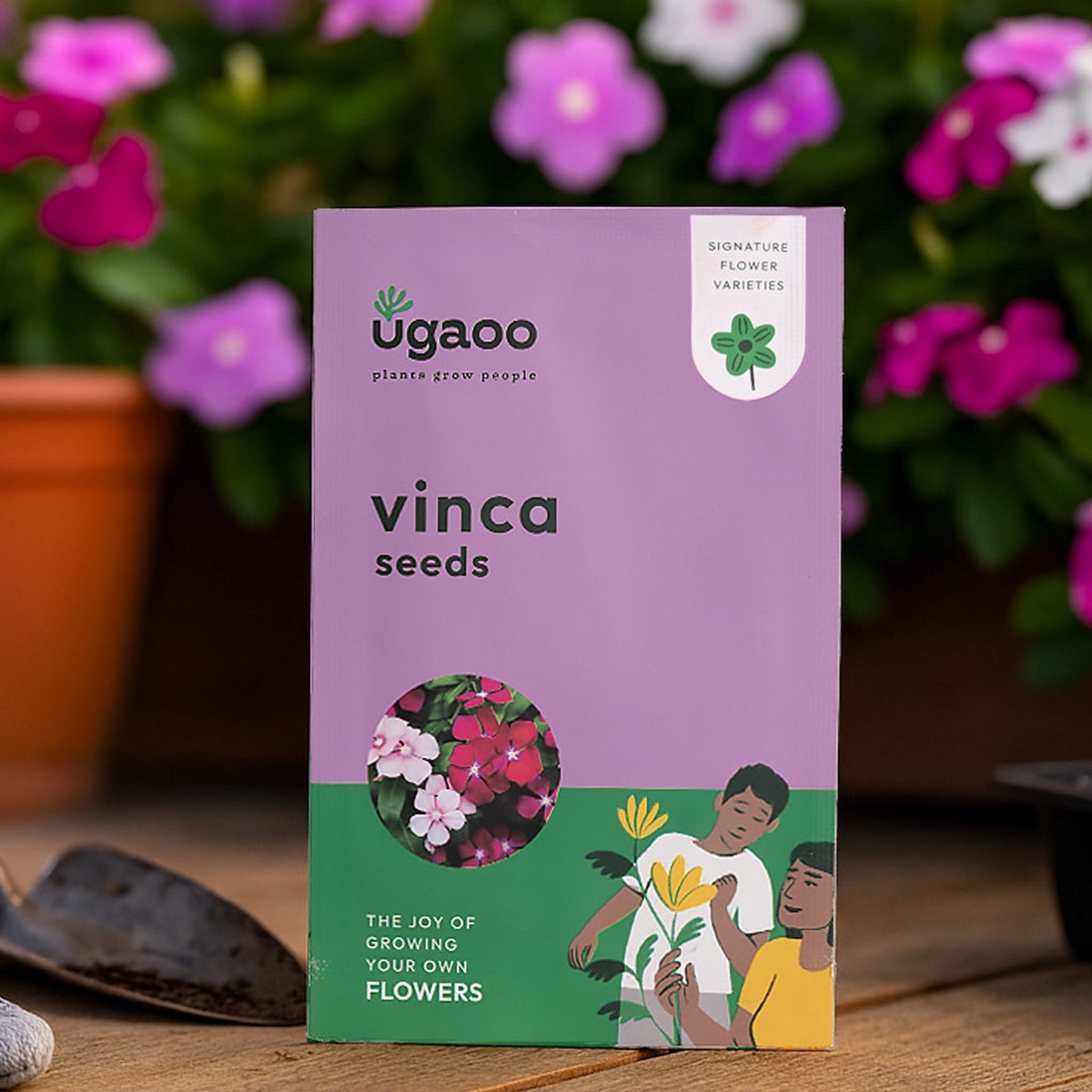 Vinca Seeds