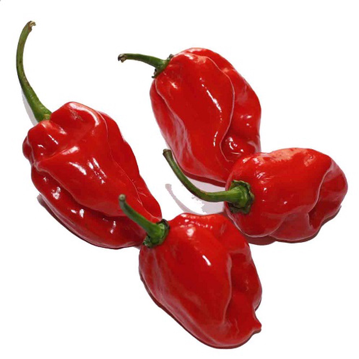 Habanero Red Pepper - Extremely Hot - 20 Seeds