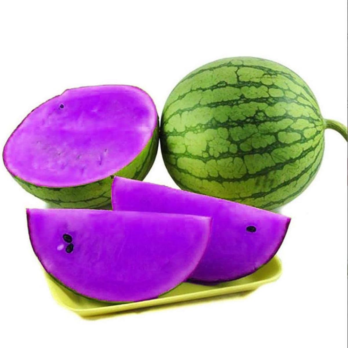Marmelos Fruit Seeds for Planting Cultivate Quince Trees, Heirloom & Non-GMO, High Germination Seeds