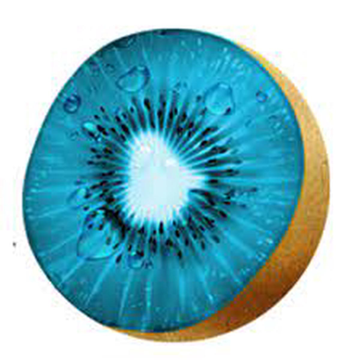 Sky Blue Kiwi Fruit Seeds for Planting  Heirloom, Non-GMO, High Germination Organic Garden Seeds