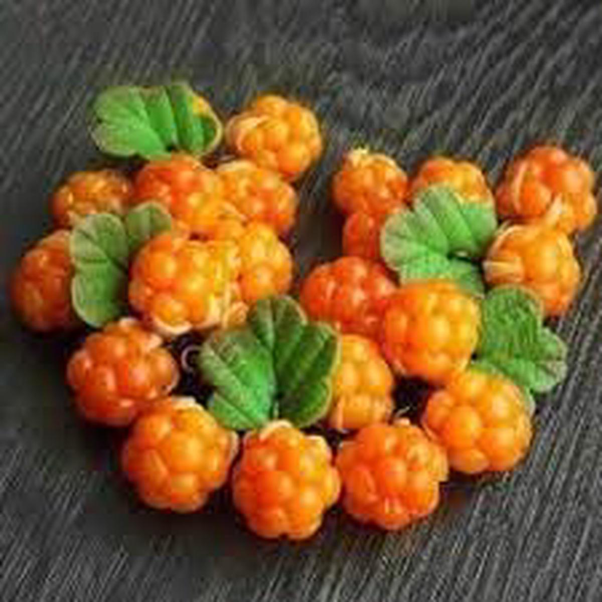 Orange Cloudberry Fruit Seeds for Planting Heirloom Non-GMO High Germination Organic Garden Seeds
