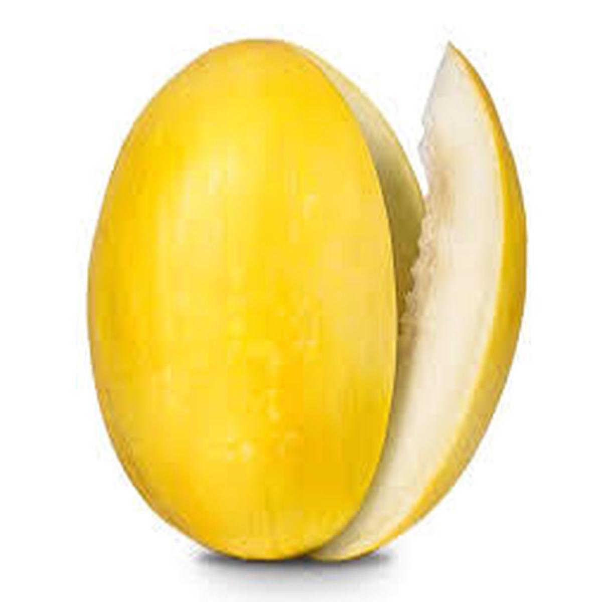 Yellow Muskmelon Fruit Seeds for Planting Sweet, Refreshing Melons, Heirloom & Non-GMO, High Germination Seeds