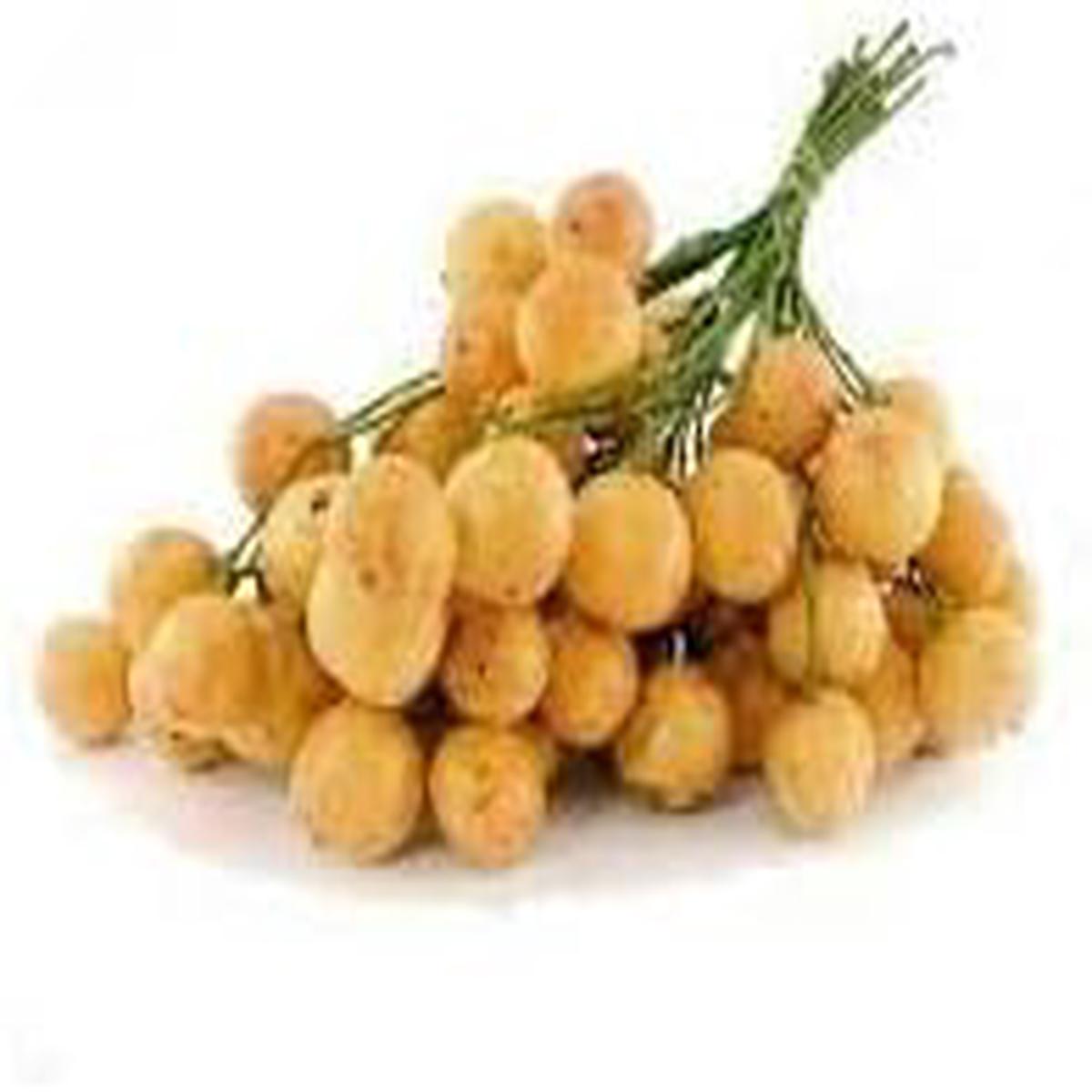 Burmese Grape Fruit Seeds for Planting Heirloom, Non-GMO, High Germination Organic Garden Seeds for Unique, Exotic Fruit Trees
