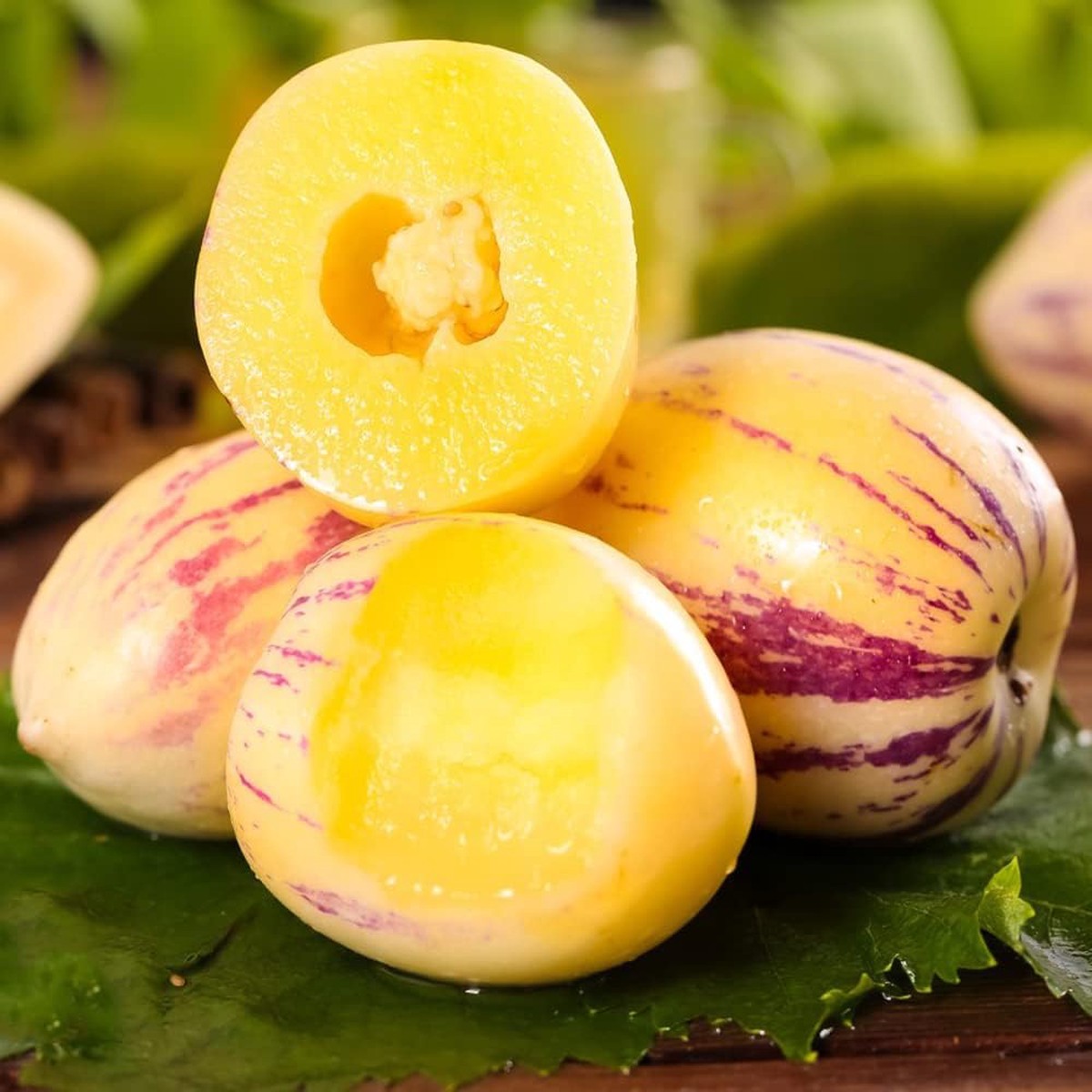 Sugar Gold Pepino Melon Fruit Seeds for Planting  Heirloom Non-GMO High Germination Organic Garden Seeds
