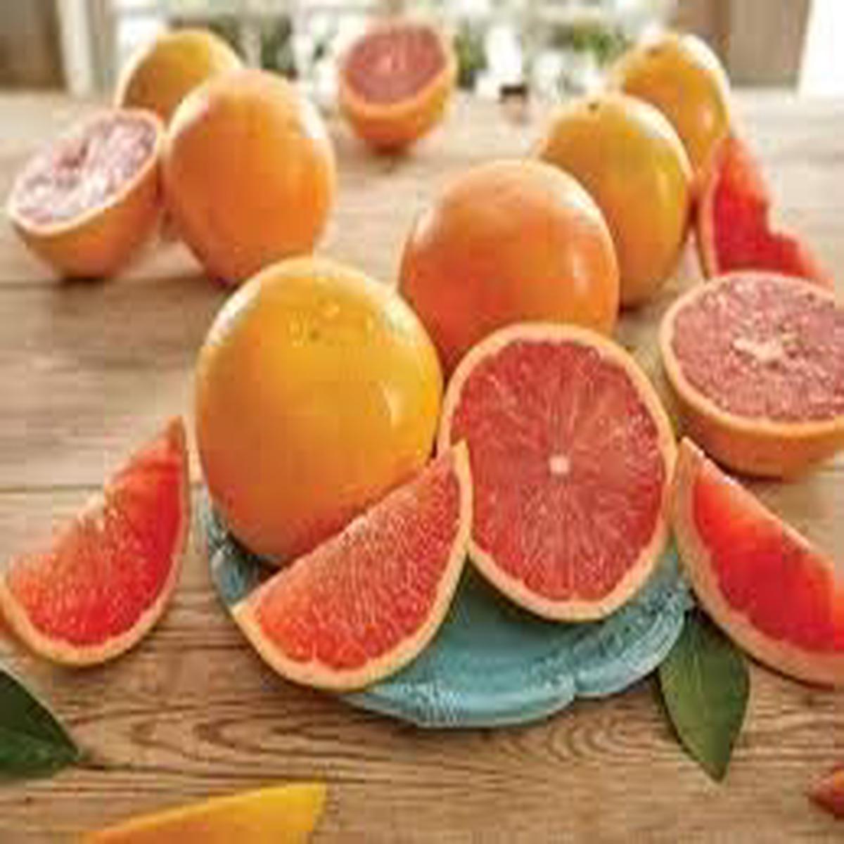 Sweet Grapefruit Fruit Seeds for Planting Red Variety Heirloom Non-GMO High Germination Organic Garden Seeds