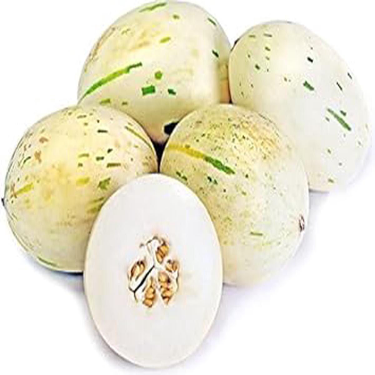 White Leopard Melon Vegetable Seeds for Planting Uncommon Fruit Varieties, Heirloom & Non-GMO, High Germination