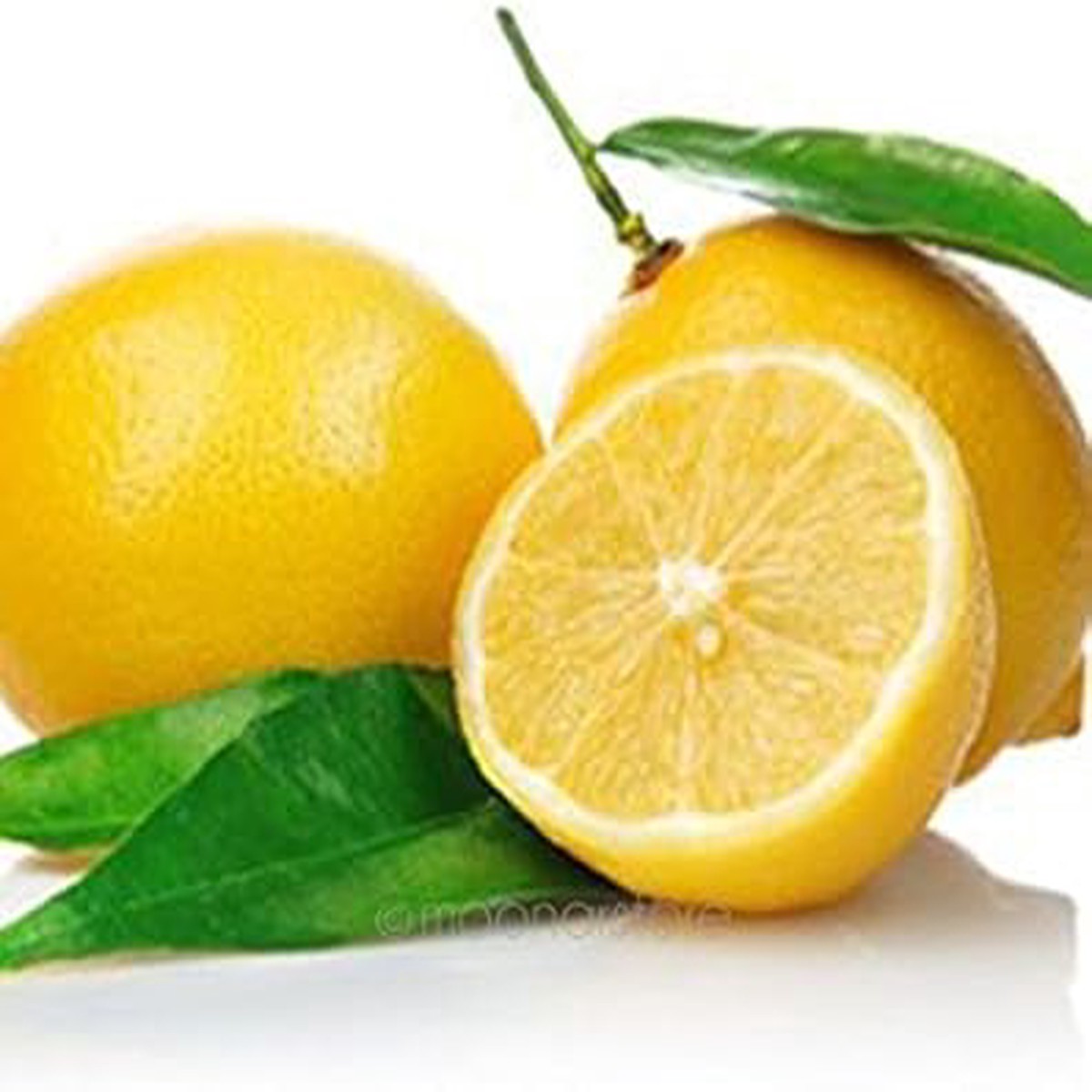 Yellow Lemon Fruit Seeds  Heirloom & Non-GMO Seeds for Growing Luscious Lemons in Your Home Garden