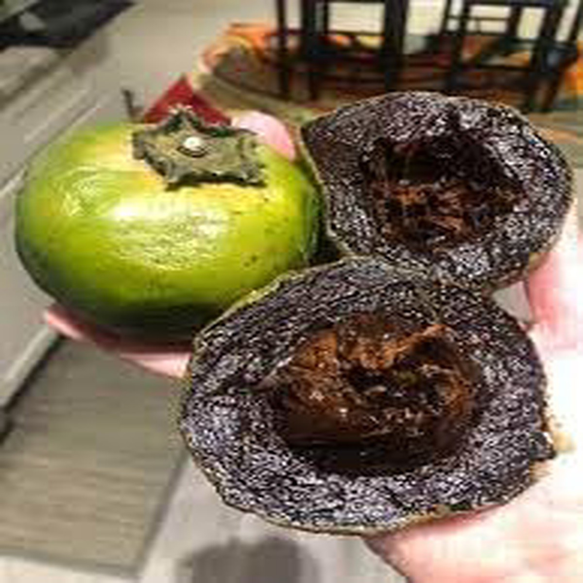 Digyna Fruit Seeds Grow Sweet & Exotic Fruit Trees