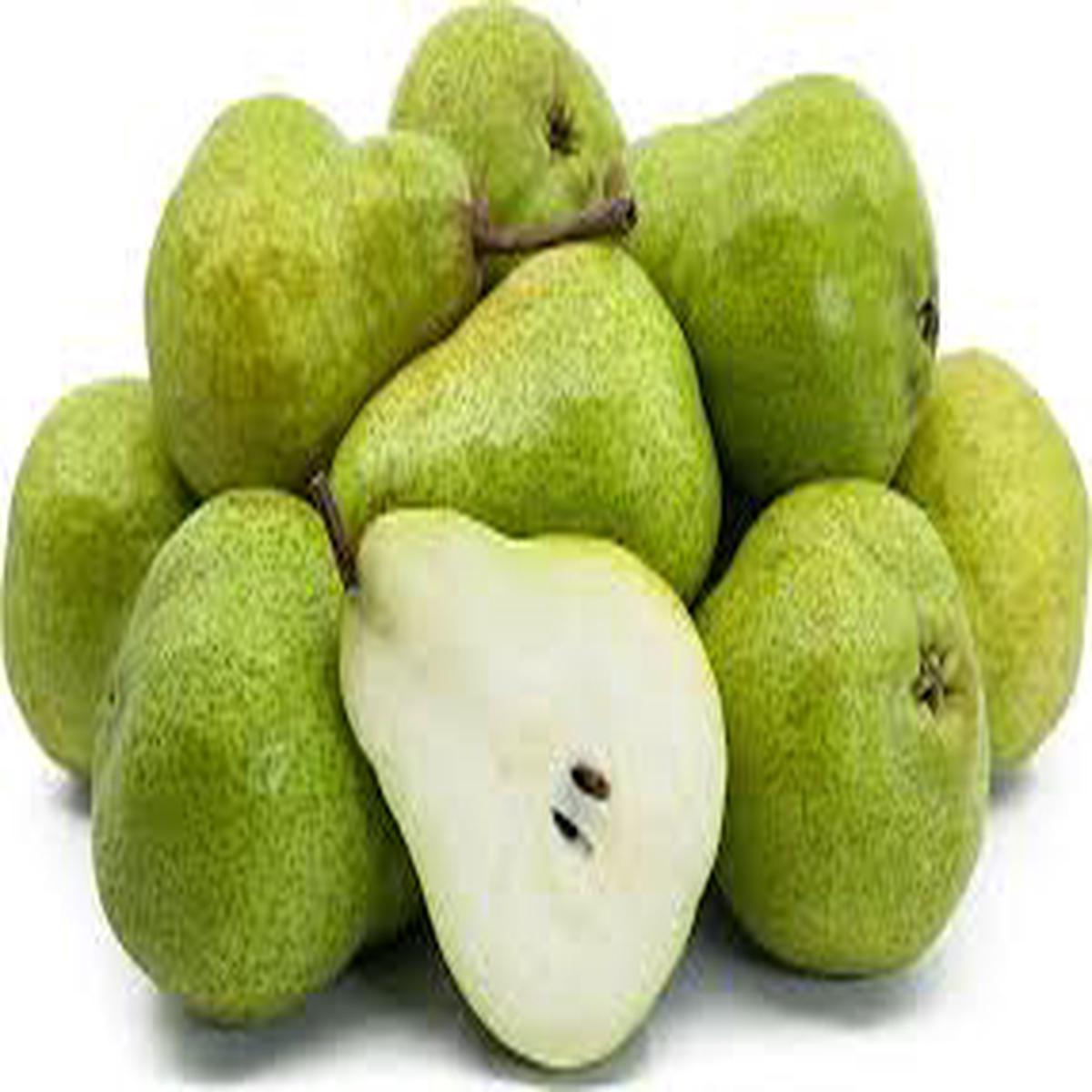 Packhams Triumph Pear Seeds for Planting Green, Lumpy & Extra Sweet, Heirloom & Non-GMO Seeds