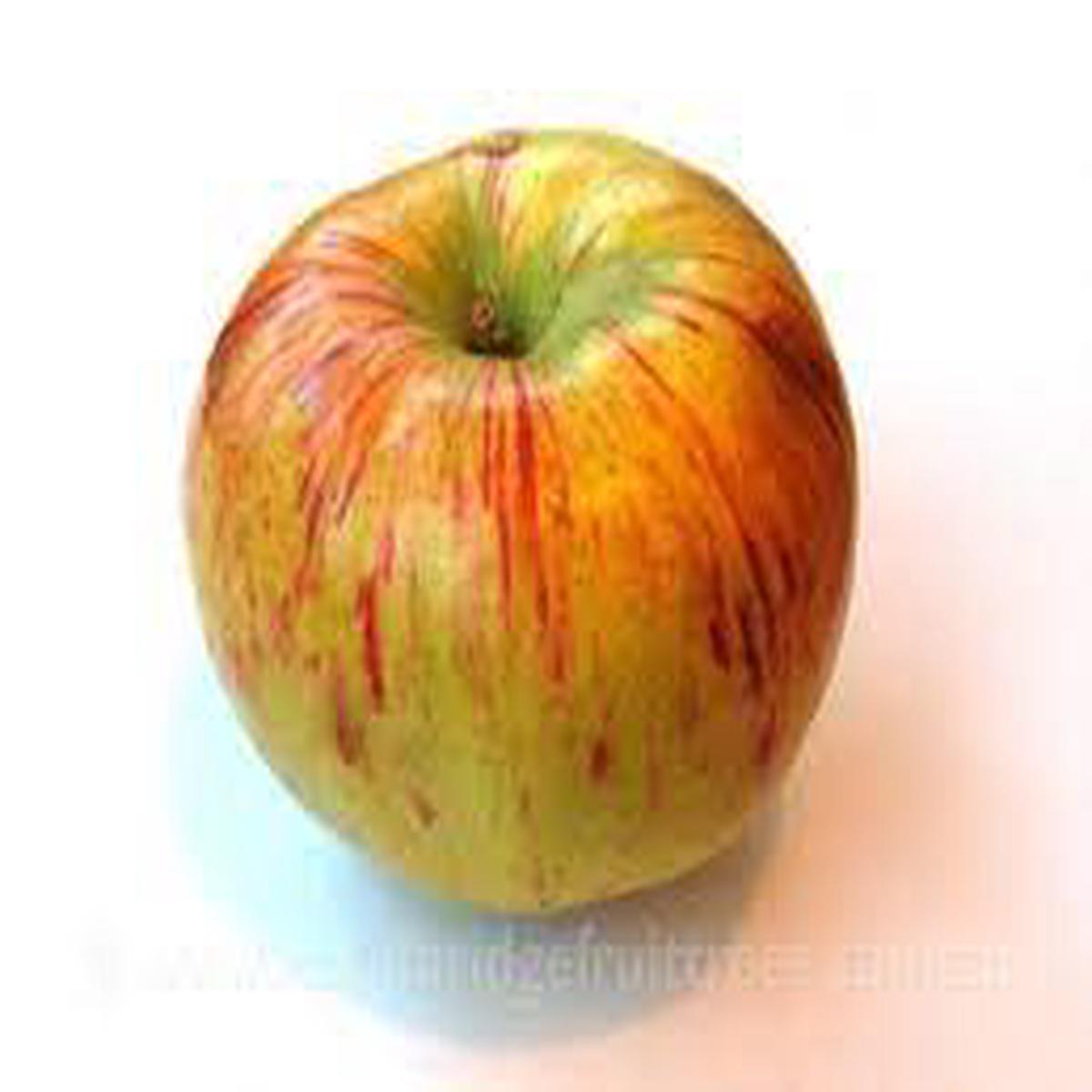 Bi-Color & Striped Apple Fruit Seeds Classic Heirloom Apples, Non-GMO Seeds for Home Garden Planting