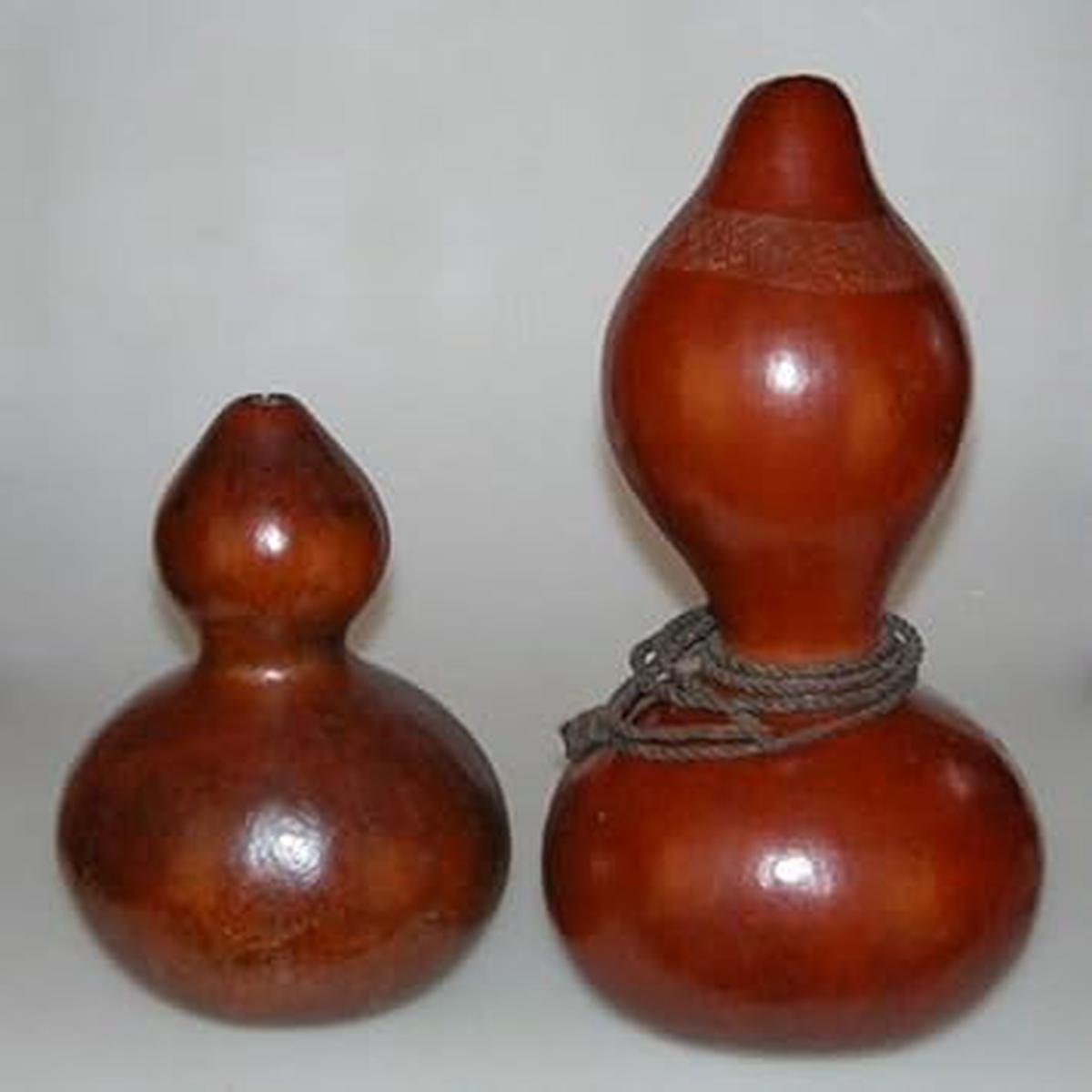Brown Gourd Calabash Bottle Seeds for Planting Unique Garden Decor & Utility, Heirloom & Non-GMO, High Germination