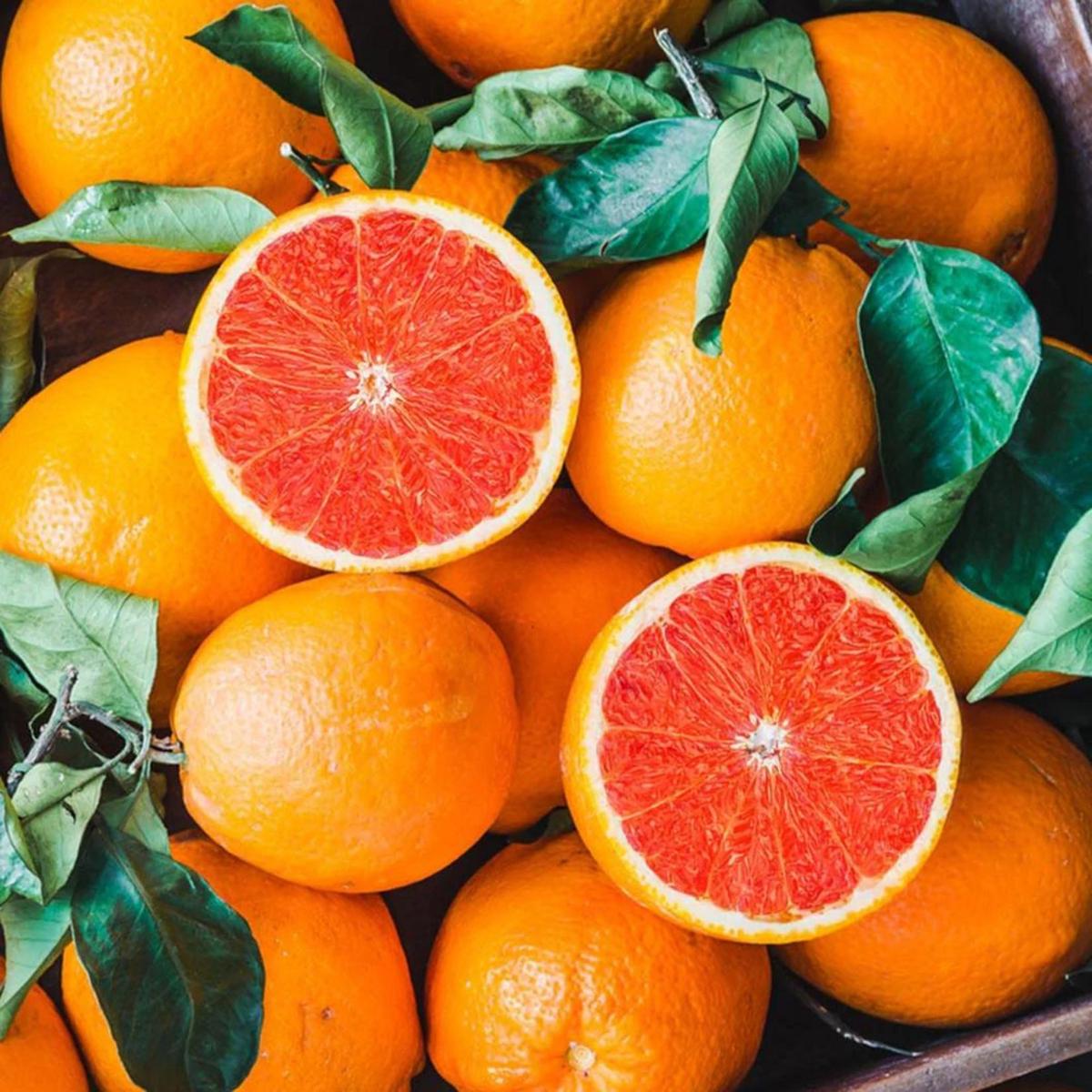 Cara Cara Navel Orange Fruit Seeds  Sweet & Juicy Oranges, Heirloom & Non-GMO Seeds for Home Garden