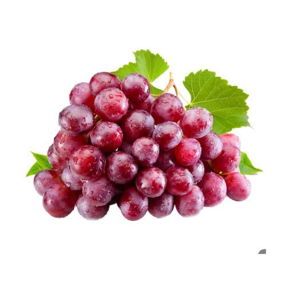 Grape Fruit Seeds for Planting Grow Various Grape Varieties, Heirloom & Non-GMO, High Germination Seeds