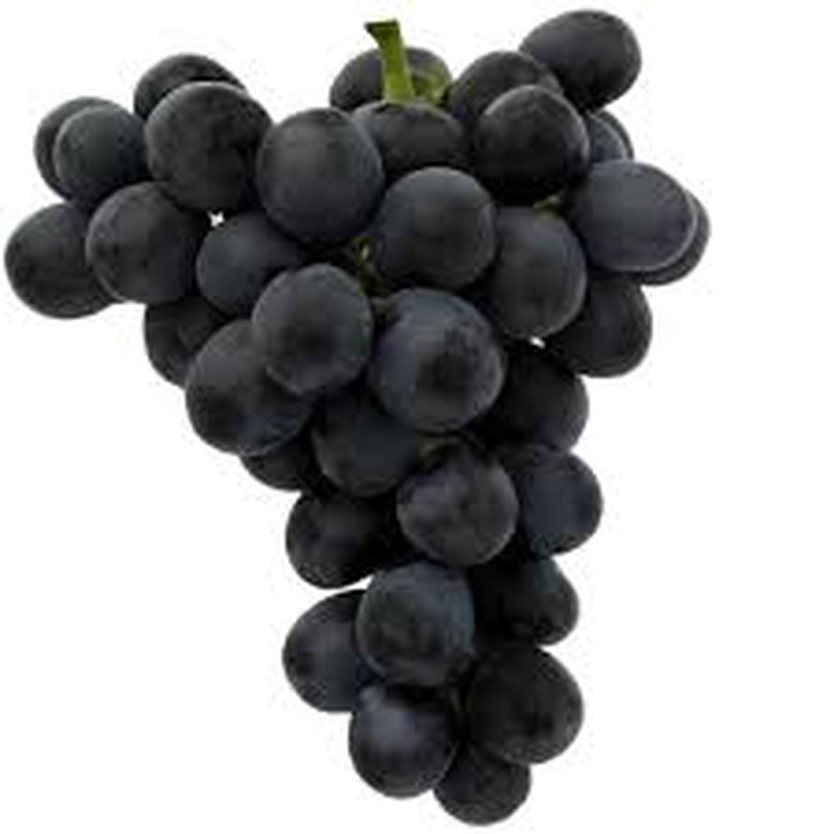 Black Grape Fruit Seeds for Planting  Abundant Juicy Harvests, Heirloom & Non-GMO, High Germination Seeds
