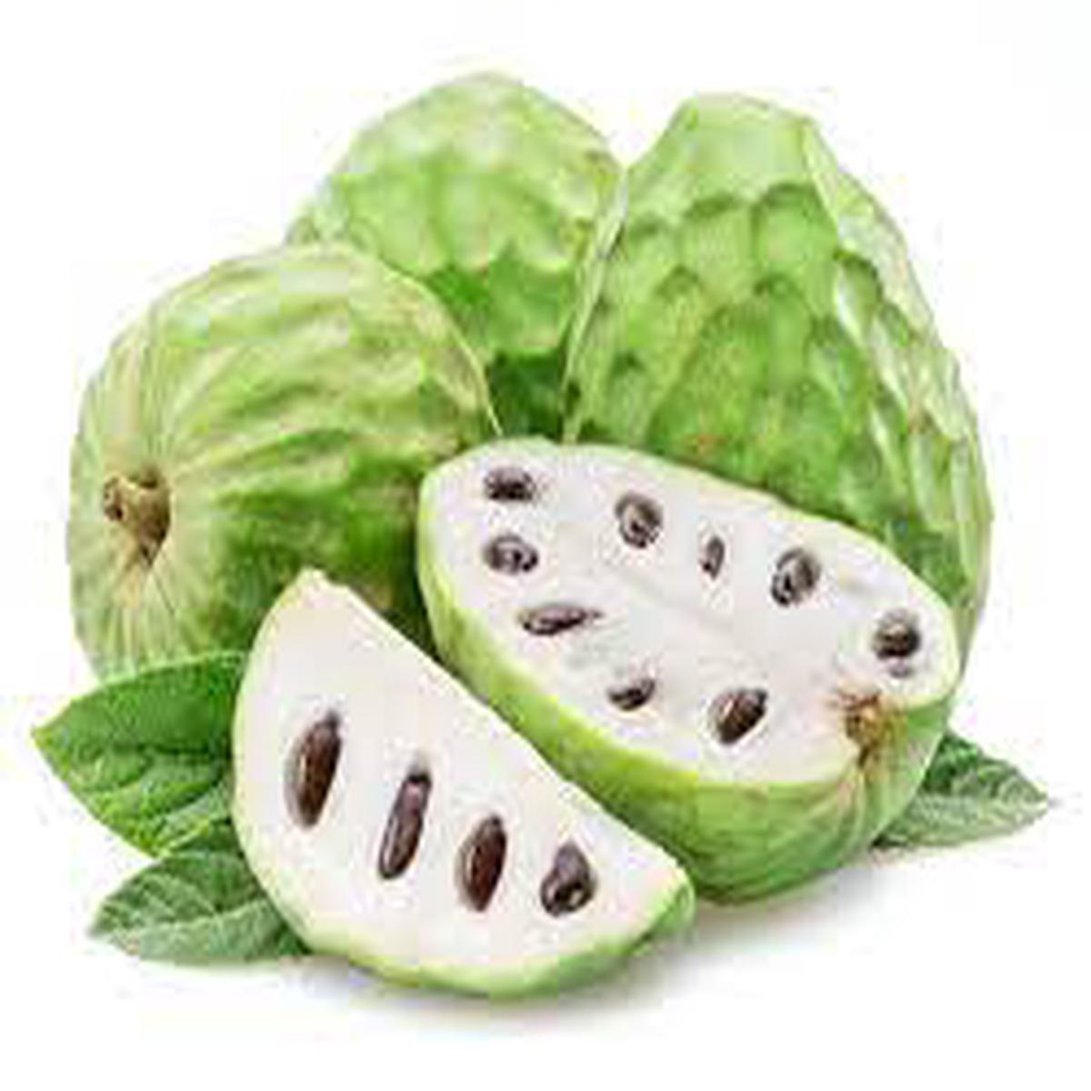 Cherimoya (Annona cherimola) Fruit Seeds for Planting  Ice Cream Fruit, Heirloom, High Germination, Non-GMO Organic Seeds
