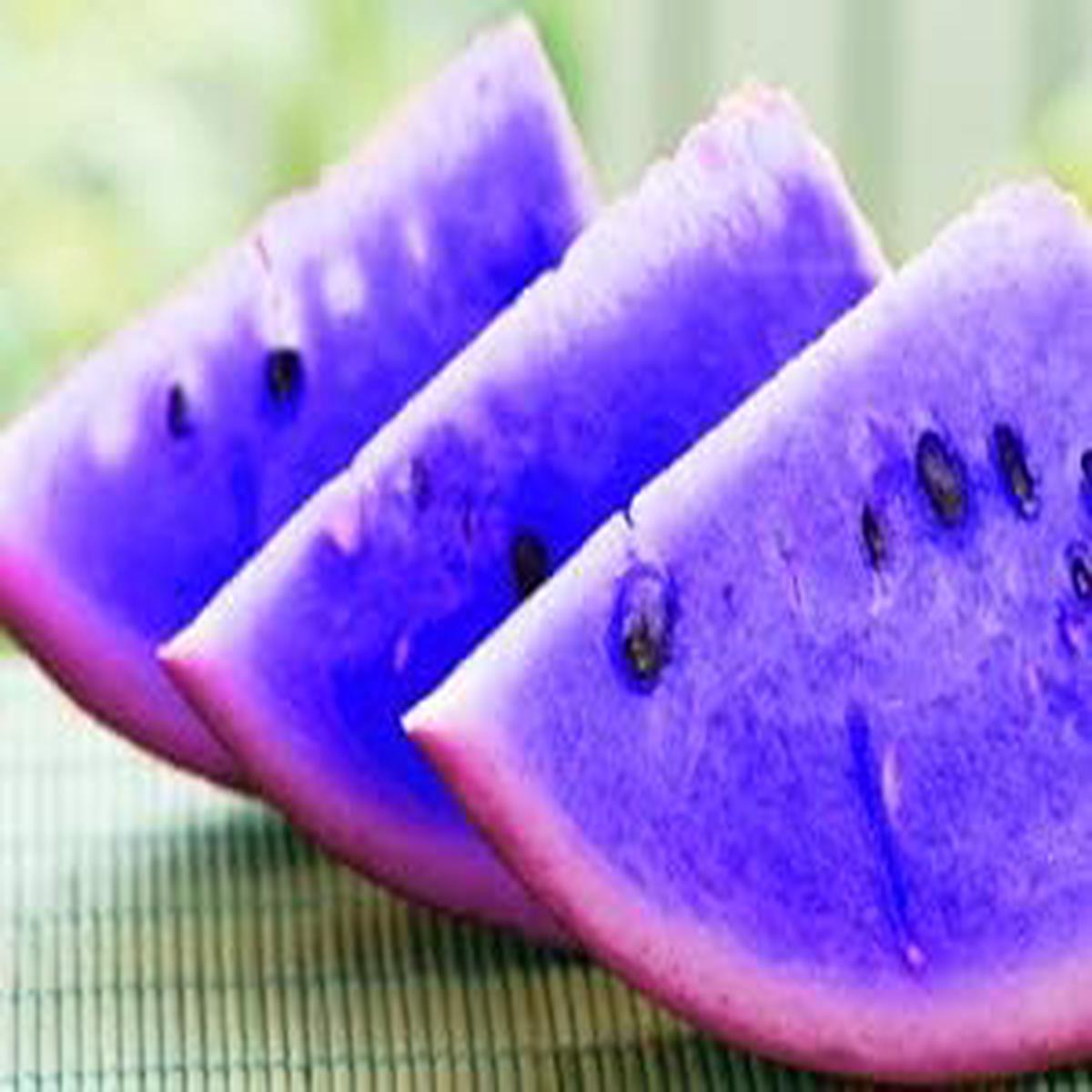 Violet Watermelon Fruit Seeds for Planting  Unique Heirloom, Non-GMO Seeds with Violet Spots, High Germination Organic Garden Seeds