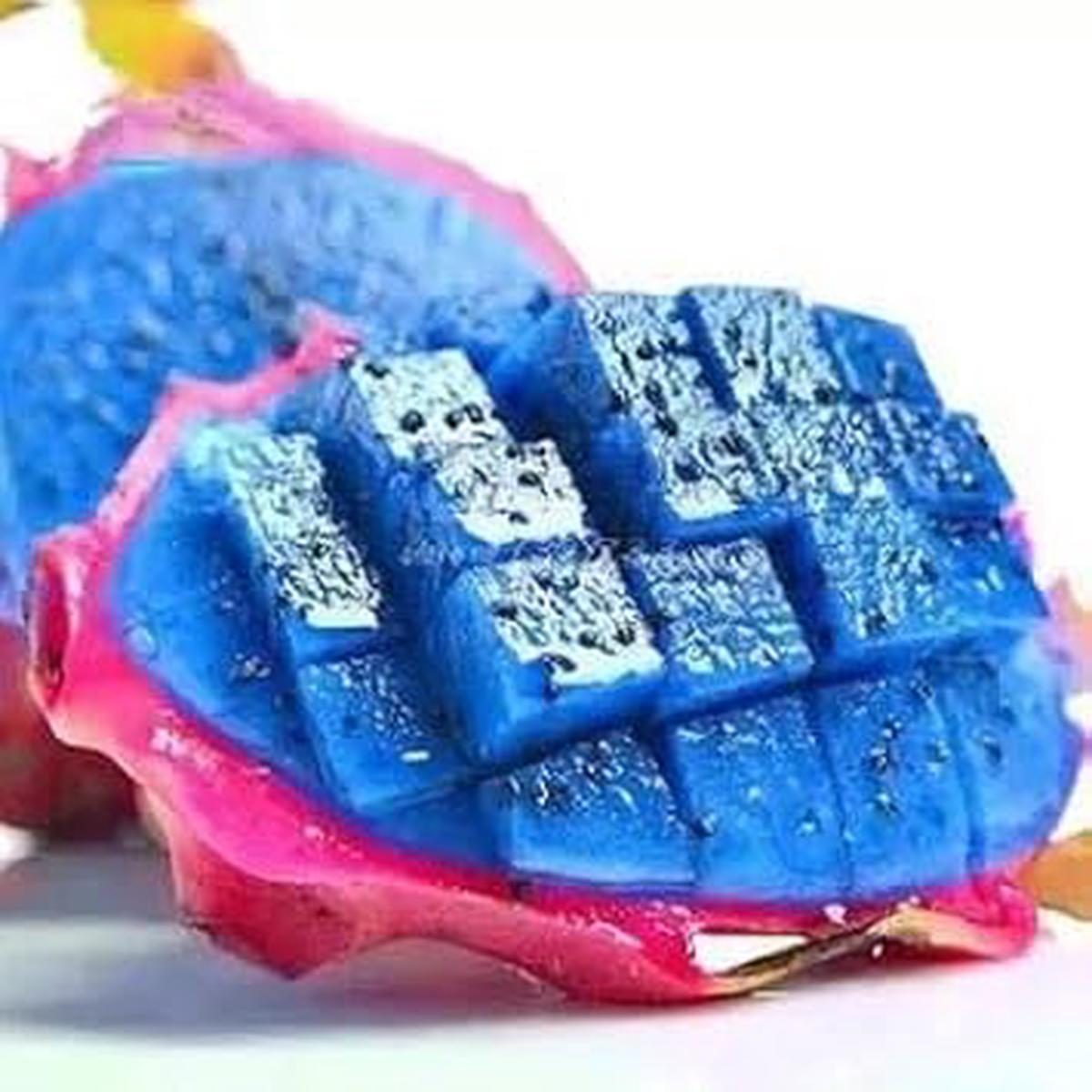 Blue Pitaya Fruit Seeds  Easy to Grow, Heirloom & Non-GMO Dragon Fruit Seeds for Home Gardens
