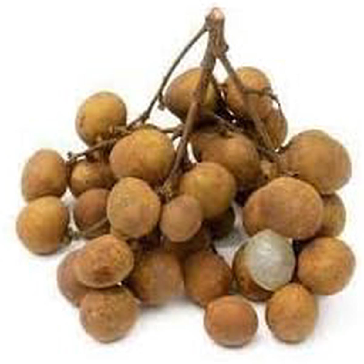 Longan Seeds Grow Tropical & Sweet Longan Fruits