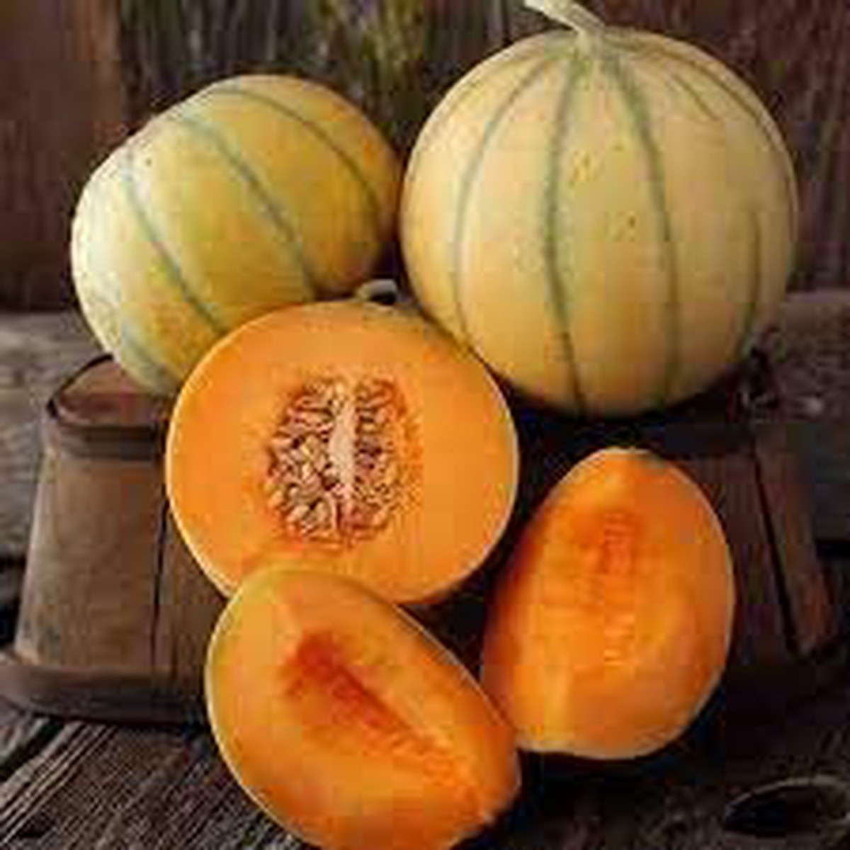 Melon Seeds Grow Sweet & Refreshing Homegrown Melons