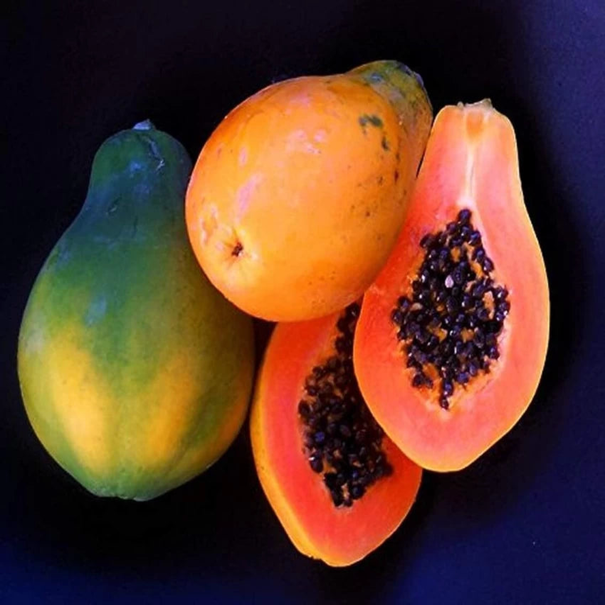 Sunrise Papaya (Strawberry Papaya) Fruit Seeds for Planting Heirloom Non-GMO High Germination Organic Garden Seeds