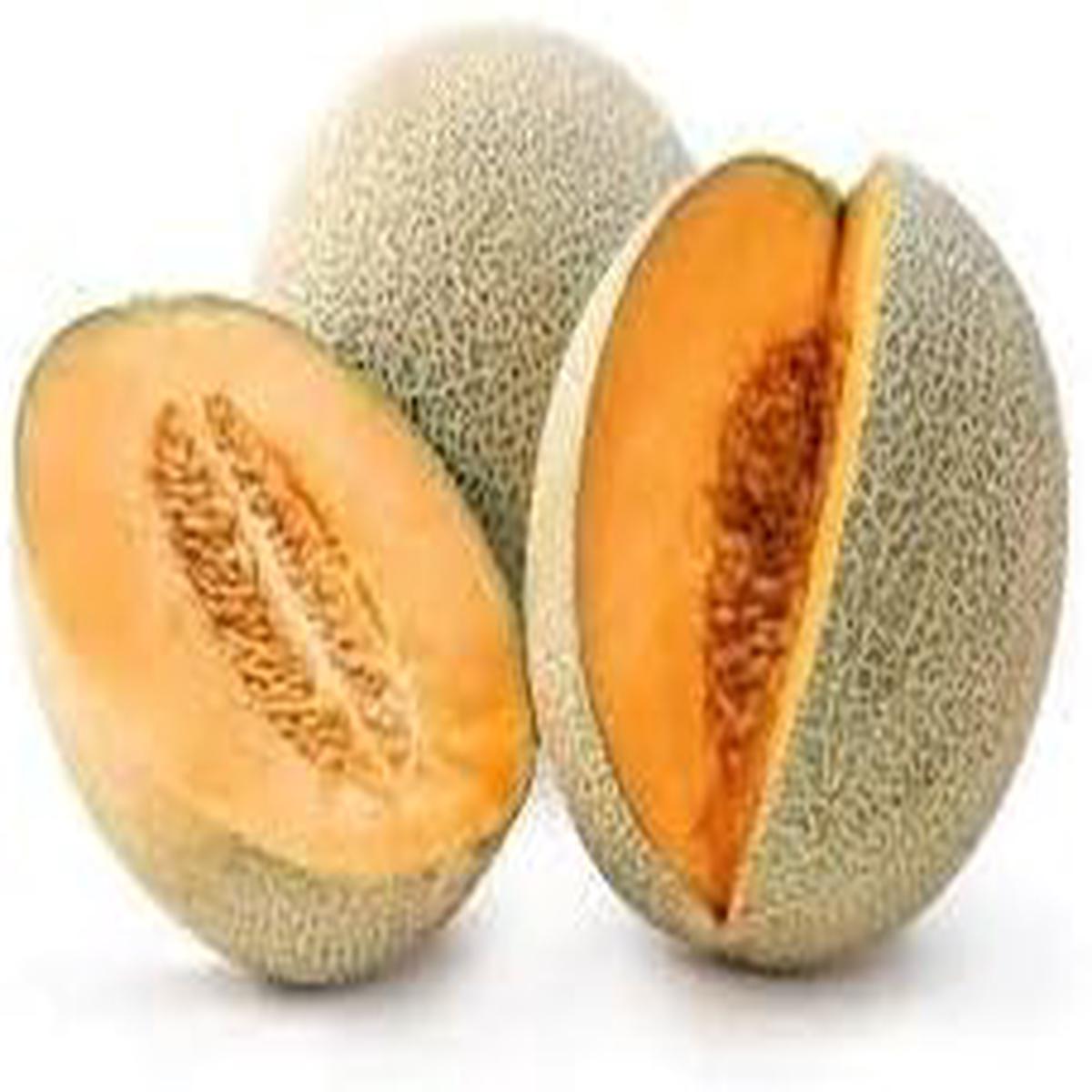 Sweet Hami Melon Organic Fruit Seeds for Planting  Juicy, Flavorful Melons, Heirloom & Non-GMO, High Germination