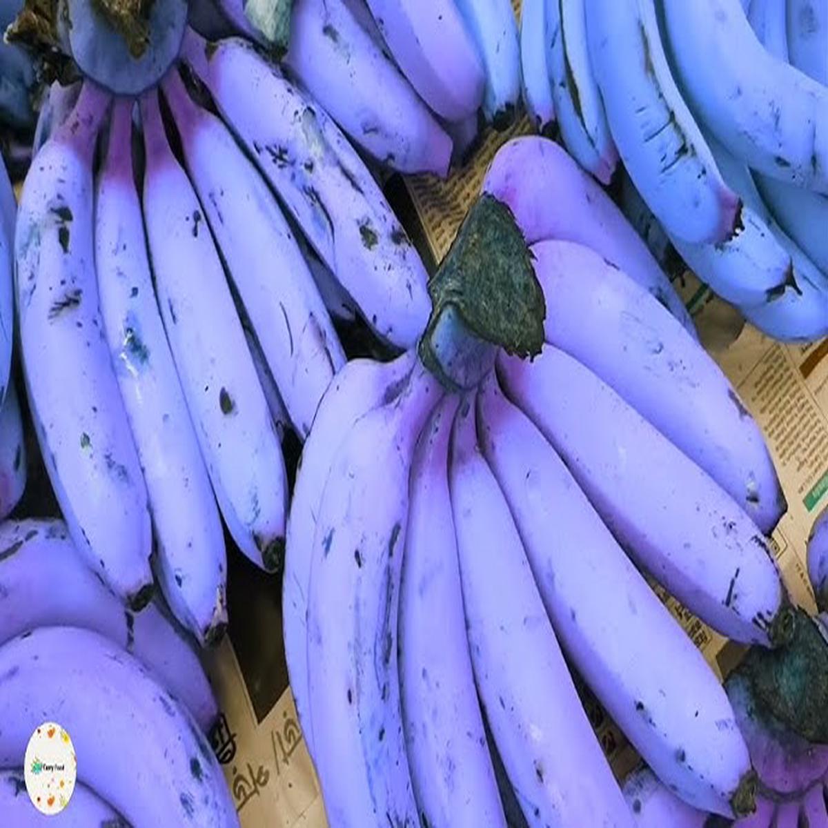 Banana Fruit Seeds for Planting Violet Variety, Heirloom Non-GMO High Germination Organic Garden Seeds