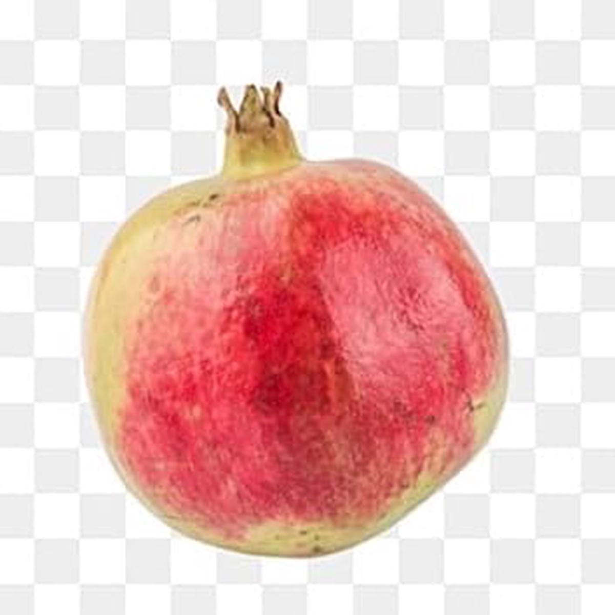 Green Pink Pomegranate Fruit Seeds for Planting Heirloom & Non-GMO Seeds for Home Gardens