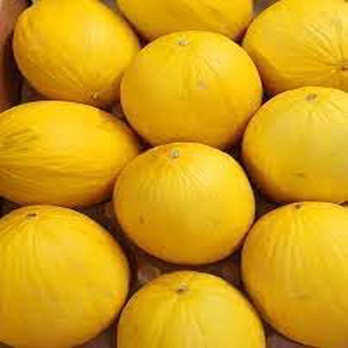 Honey Melon Seeds Grow Sweet & Refreshing Melons