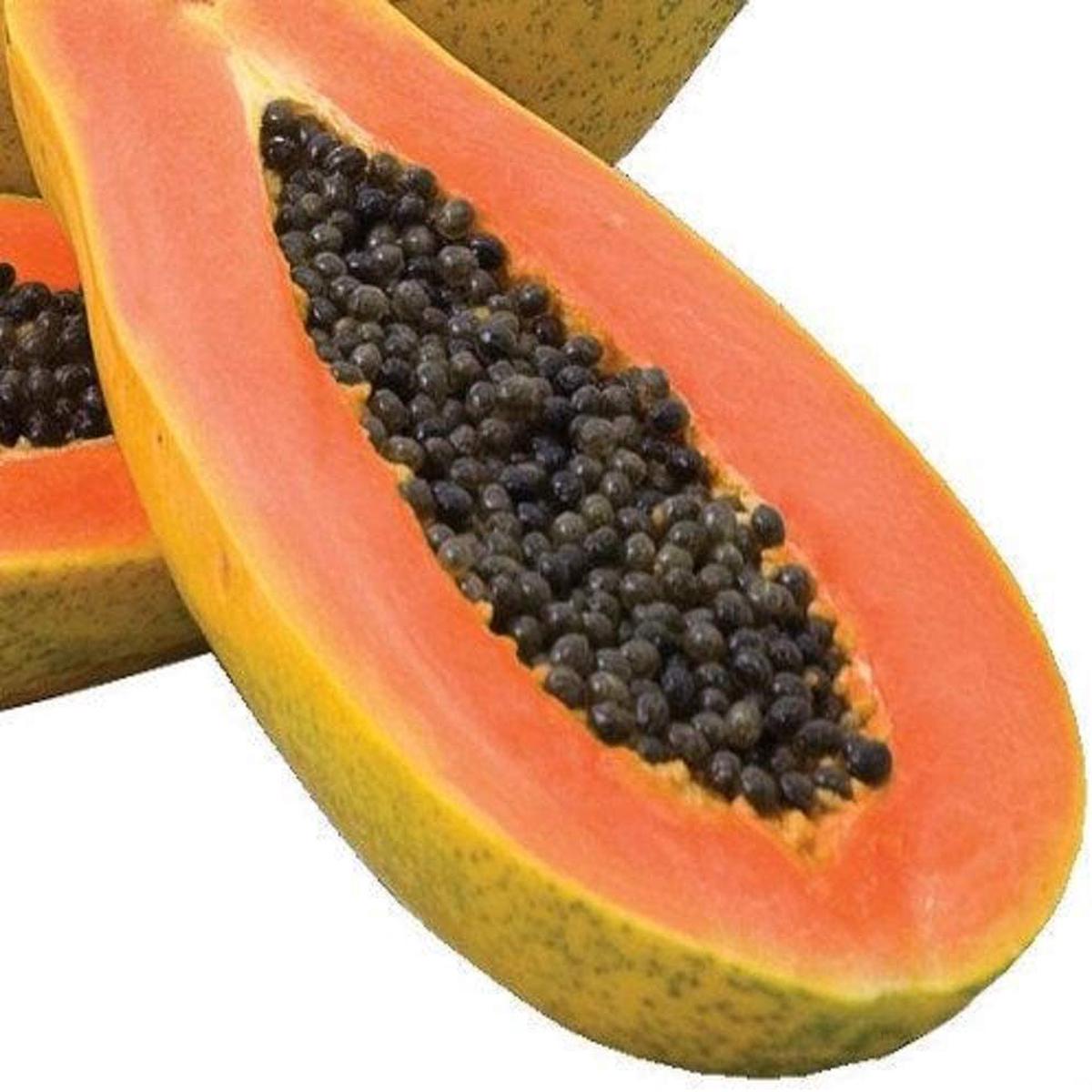 Maradol Papaya Seeds for Planting Large, Sweet Tropical Fruit