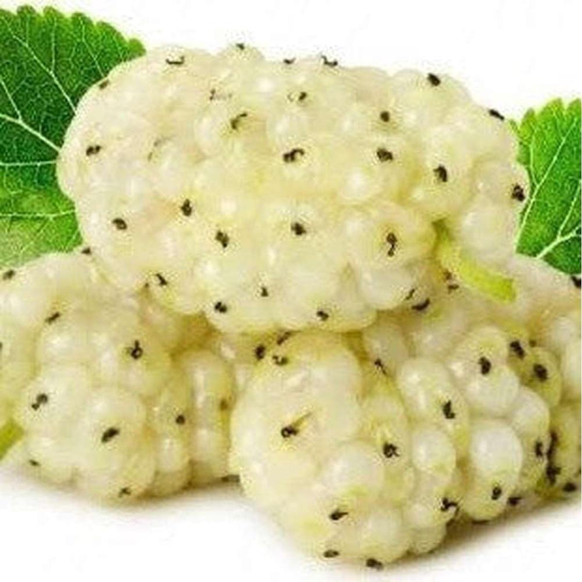 Sweet Watermelon Vine Seeds Cultivate Refreshing Summer Fruits, Heirloom, Non-GMO & Organic Garden Seeds