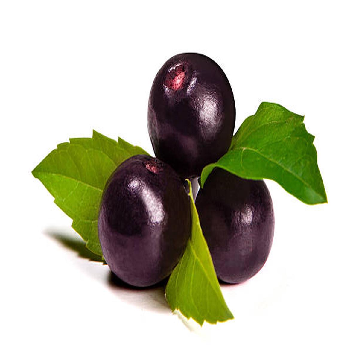 Acai Fruit Seeds for Growing Nutrient-Rich Berries Heirloom Non-GMO High Germination Organic Garden Seeds
