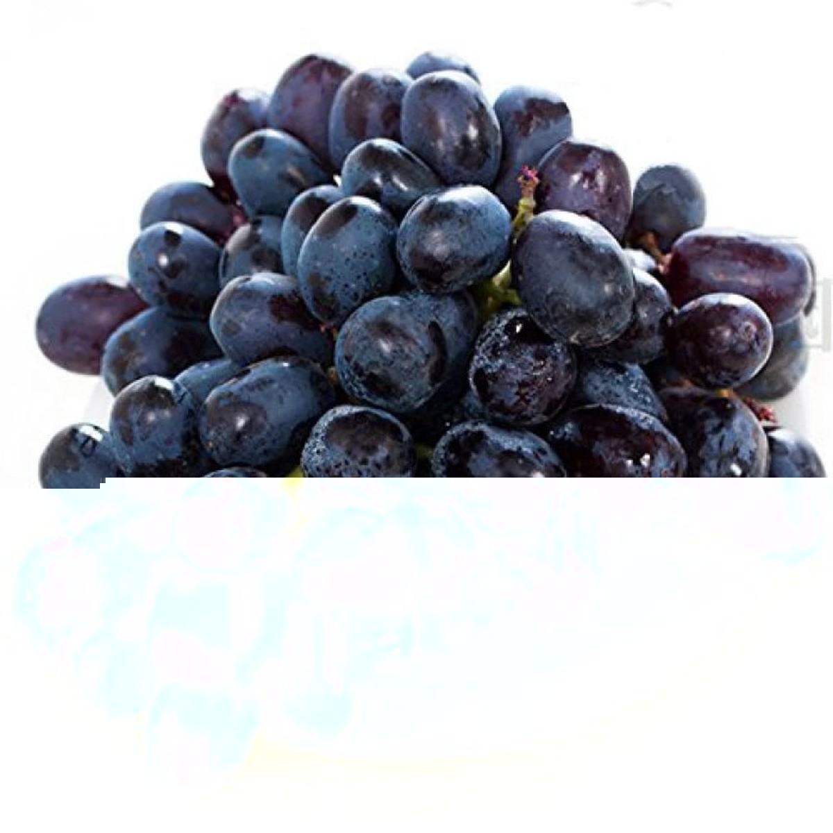 Black Brazilian Grape Fruit Seeds for Planting  Unique Grape Varieties, Heirloom & Non-GMO Seeds for Home Garden