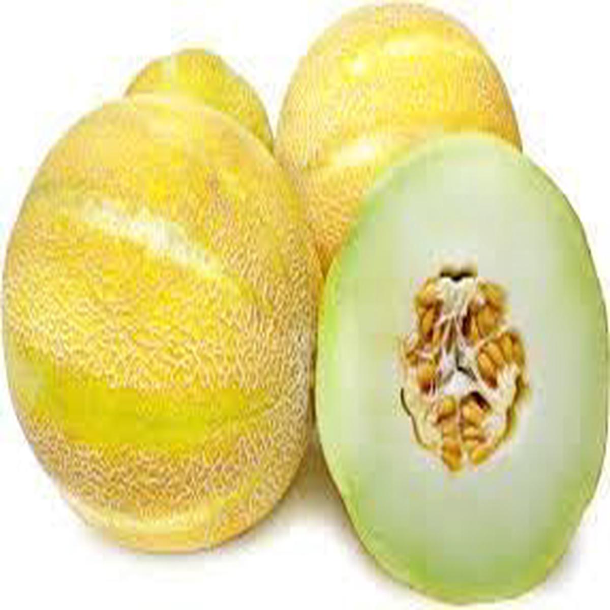Melon Seeds Grow Juicy, Sweet, and Flavorful Melons at Home