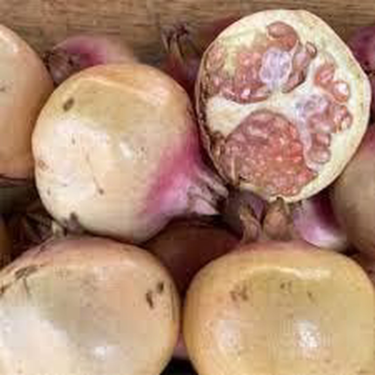 White Pomegranate Fruit Seeds for Planting Grow Sweet, Tangy Pomegranates, Heirloom & Non-GMO Seeds for Home Garden