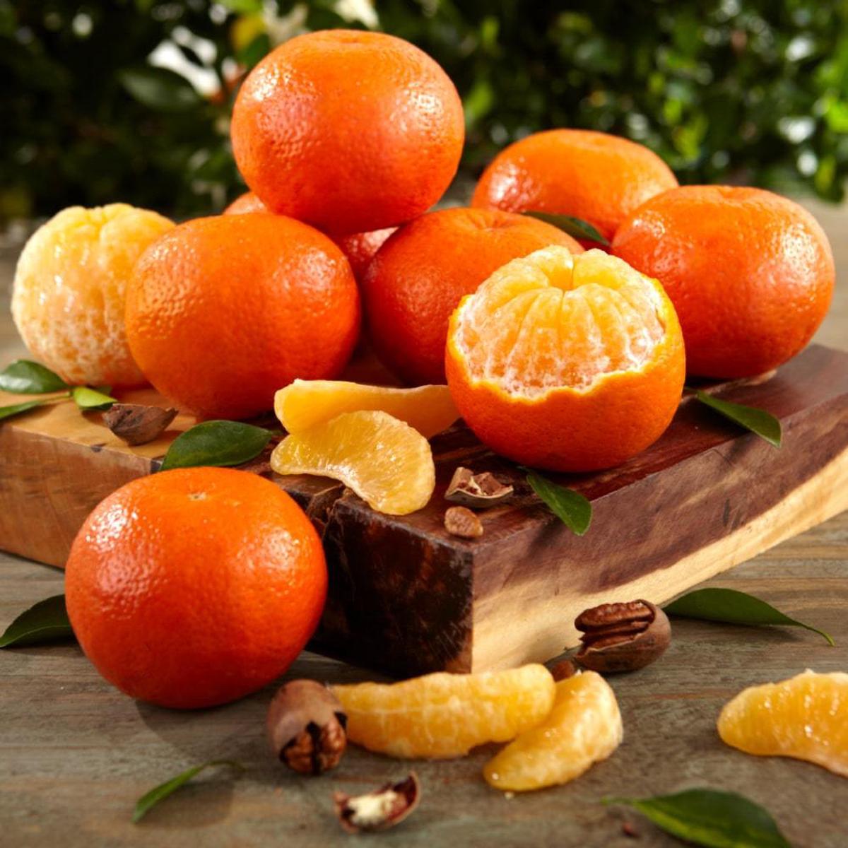 Temple Orange Seeds for Planting  Grow Sweet & Juicy Tangor Citrus Fruits